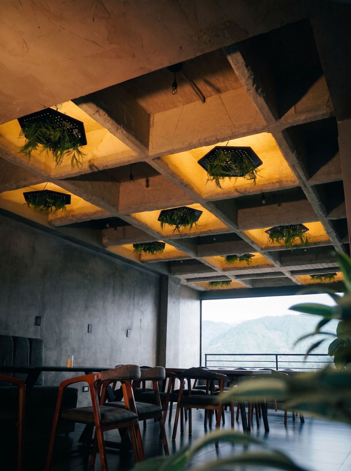 El salón de día: techo de casetones de concreto con helechos colgando y luz cálida