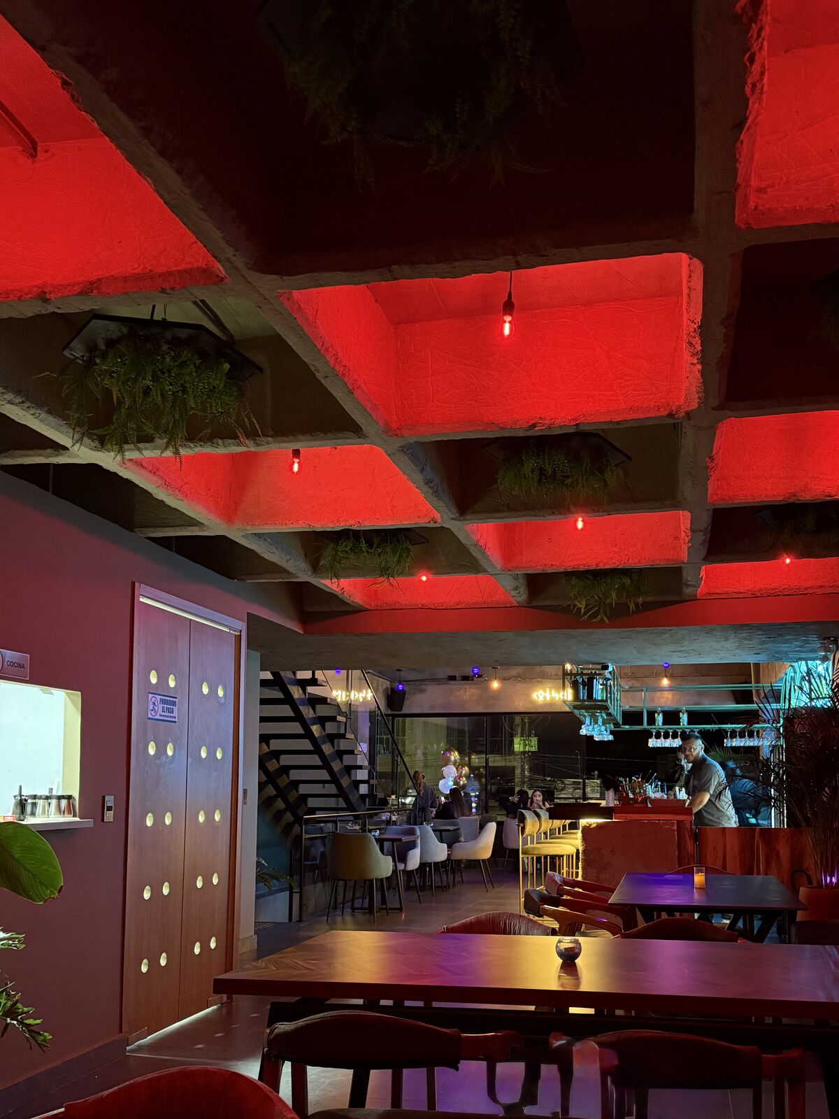 El salón de noche con los casetones iluminados en rojo y la barra al fondo